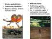 Prezentācija 'Indomalajas bioģeogrāfiskais apgabals', 17.