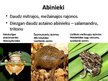 Prezentācija 'Indomalajas bioģeogrāfiskais apgabals', 18.