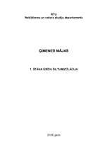 Referāts 'Pirmā stāva grīdu siltumizolācija', 1.