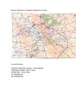 Referāts 'Verdenas kauja', 4.