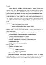 Referāts 'Naudas pelnīšana ar interneta palīdzību', 3.