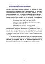 Referāts 'Naudas pelnīšana ar interneta palīdzību', 13.