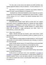 Referāts 'Naudas pelnīšana ar interneta palīdzību', 25.