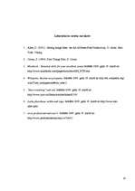 Eseja 'Laika plānošana – pirmais solis pie efektīvas pārvaldes', 16.