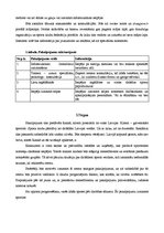 Biznesa plāns 'Sporta nometņu klubs Rankas pagastā', 4.