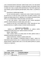 Biznesa plāns 'Sporta nometņu klubs Rankas pagastā', 7.