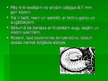 Prezentācija 'Maijvaboles raksturojums', 5.