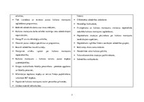 Referāts 'Digitalizācijas tehnikas iegāde', 5.