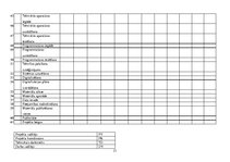 Referāts 'Digitalizācijas tehnikas iegāde', 21.