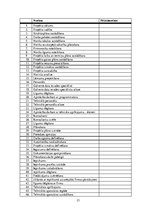 Referāts 'Digitalizācijas tehnikas iegāde', 23.