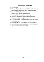 Referāts 'Laikraksta “Rēzeknes ziņas” pārmaiņas laika posmā no 1942.gada līdz 1944.gadam', 11.