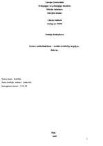 Konspekts 'Dators māksliniekam – izvēles kritēriji, iespējas', 1.