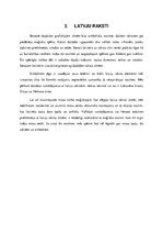 Referāts 'Folkora mūsdienu jauniešu dzīvē', 7.