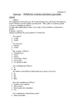 Referāts 'Folkora mūsdienu jauniešu dzīvē', 14.