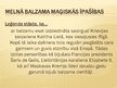Prezentācija 'Rīgas Melnais balzams', 5.