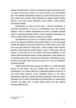 Konspekts 'Klasiskie demokrātijas modeļi - klasiskais, republikāniskais un liberālais', 5.