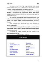 Referāts 'Kaķveidīgie', 8.