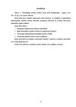 Referāts 'Tehnoloģisko procesu izstrāde', 2.