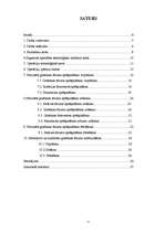 Referāts 'Tehnoloģisko procesu izstrāde', 5.