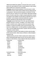 Referāts 'Atmiņa un personība', 13.