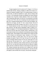 Referāts 'Volleyball', 5.