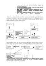 Referāts 'Elektroniskais paraksts - vakar, šodien un rīt', 5.