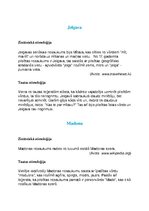 Konspekts 'Zinātniskā etimoloģija, tautas etimoloģija', 1.