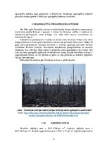 Referāts 'Meža resursu ekonomika', 8.