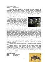 Referāts 'Zebras', 6.