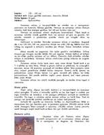 Referāts 'Zebras', 7.