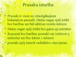 Prezentācija 'Prusaki', 6.