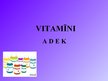 Prezentācija 'Taukos šķīstošie vitamīni', 1.