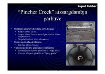 Prezentācija 'Šķidrā veidā uzsmidzināma gumija', 17.