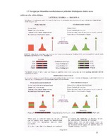 Prakses atskaite 'Prakses atskaite', 13.
