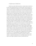 Prakses atskaite 'Prakses atskaite', 16.