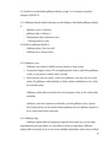 Prakses atskaite 'Prakses atskaite', 36.