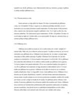 Prakses atskaite 'Prakses atskaite', 38.