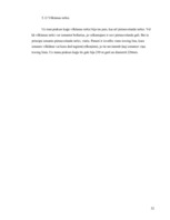 Prakses atskaite 'Prakses atskaite', 52.