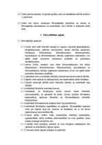 Paraugs 'Būvniecības līgums', 2.