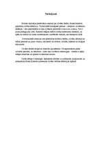 Referāts 'Cilvēka definīcijas kritika Ernsta Kasīrera darbā "Apcerējums par cilvēku"', 7.