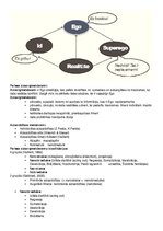 Konspekts 'Intrapsihiskais personības līmenis: psihodinamiskā pieeja', 4.