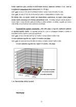 Prakses atskaite 'Prakse viesnīcā "Islande Hotel"', 17.