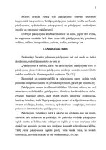 Referāts 'Pakalpojumu organizēšana uzņēmumā', 7.