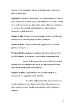 Referāts 'Sprādziena iespējamība AS "Latvijas Gāze" ekspluatācijas iecirkņa Inčukalna paze', 8.