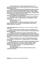 Konspekts 'Koku sugu raksturojums', 7.