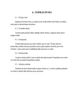 Referāts 'SVID analīze uzņēmumā "Polaroid"', 4.