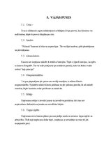 Referāts 'SVID analīze uzņēmumā "Polaroid"', 5.