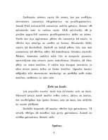 Referāts 'Senākās vērtību mēra formas pasaulē', 9.