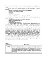 Eseja 'Studijas attālināti - datora ietekme uz veselību', 2.