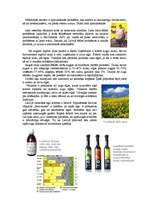 Eseja 'Tauki un eļļas', 2.